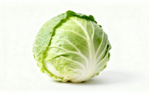 理学療法士監修のキャベツの白背景画像。