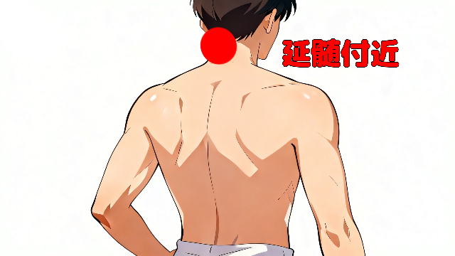 理学療法士監修の自律神経を整えやすくするため、首の後ろの温めると良い部分を示したイラスト。