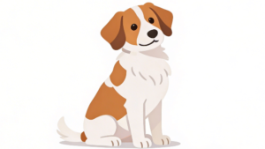 理学療法士監修のかわいいコーイケルホンディエのおすわりをしているフラットイラスト。コーイケルホンディエ　おすわり　大谷翔平