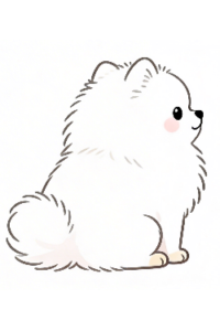 理学療法士監修のかわいい白いポメラニアンがおすわりをしているフラットイラスト。ポメラニアン　かわいい　ふわふわ　おすわり