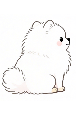 理学療法士監修のかわいい白いポメラニアンがおすわりをしているフラットイラスト。ポメラニアン　かわいい　ふわふわ　おすわり